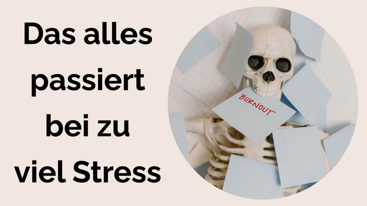 Präventiv-Apothekerin Fanny Patzschke erklärt: chronischer Stress im Körper begünstigt viele Krankheiten wie Diabetes, Schlafstörungen, Adipositas, Herz-Kreislauf-Erkrankungen, Osteoporose, Entzündungen, chronische Schmerzen, Allergien, Gelenkbeschwerden, Depressionen